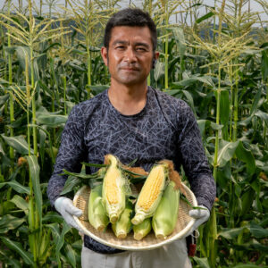 恵味ゴールド6本